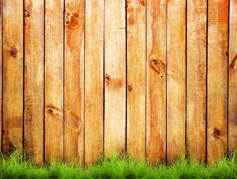 grass