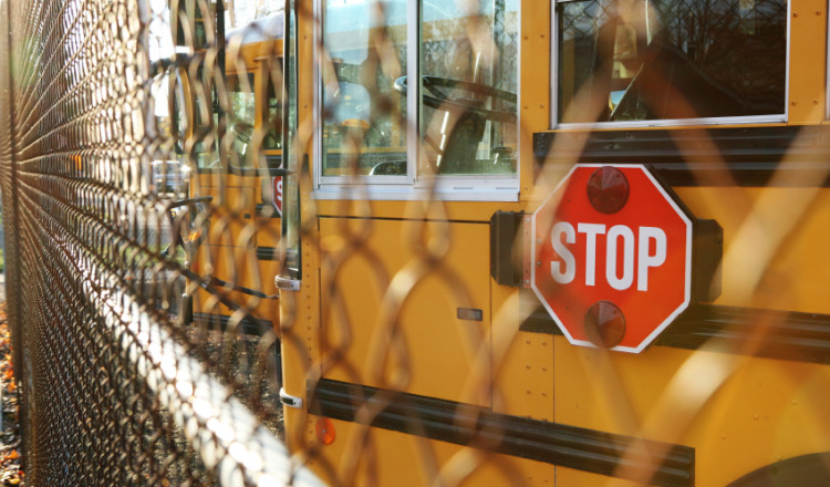 School fencing and gates