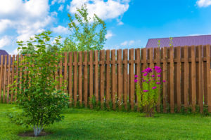 Best Wood for a Backyard Fence
