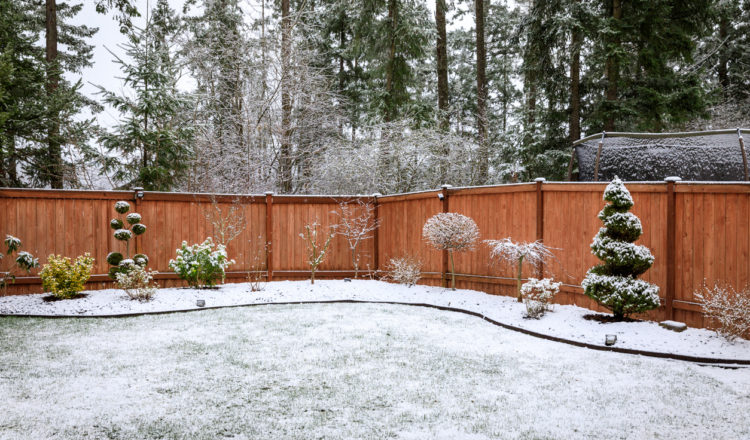 total fence wooden fence